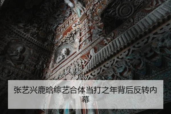 张艺兴鹿晗综艺合体当打之年背后反转内幕