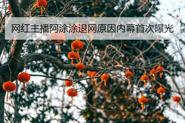 wang-hong-zhu-bo-a-tu-tu-tui-wang-yuan-yin-nei-mu-shou-ci-bao-guang-2-310.jpg