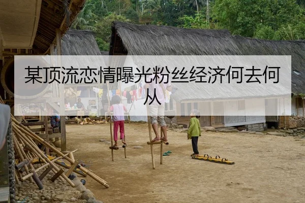 某顶流恋情曝光粉丝经济何去何从